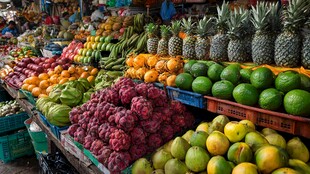 多彩水果摆满摊位