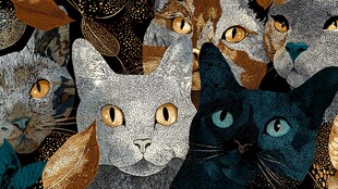 多彩猫咪群像图