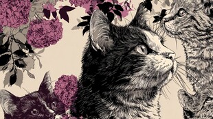 猫咪与繁花的温馨画面