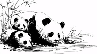 熊猫母子依偎温馨画面