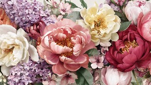 多彩花卉绽放美丽瞬间