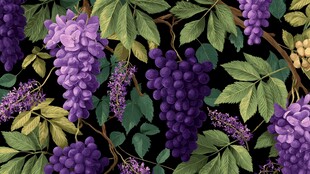 紫色葡萄藤蔓花卉图案