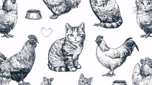 猫咪与鸡的可爱插画图案