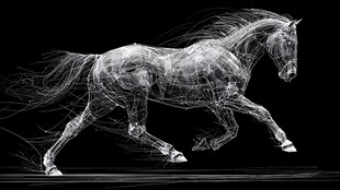 线条勾勒的奔腾骏马