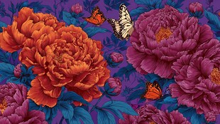 繁花蝴蝶绘就梦幻图景