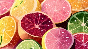 多彩切片柑橘类水果插画