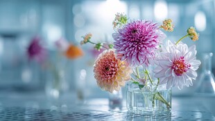 玻璃花瓶中的多彩鲜花