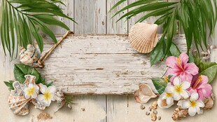 夏日海滨风木质装饰场景