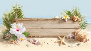 海滨木牌装饰 花卉贝壳点缀