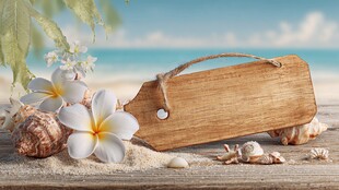 海滨木牌与贝壳花卉美景