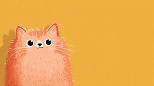 橘色萌猫的可爱瞬间