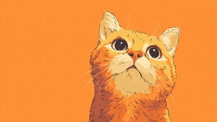 仰望的橘猫
