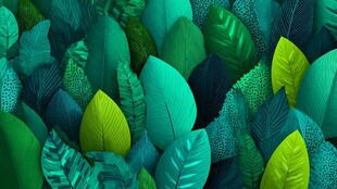 梦幻绿调叶丛背景图