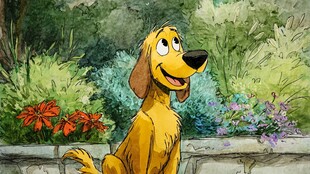 欢乐小狗坐于花丛旁