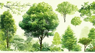 多样绿树插画素材集