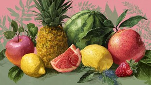 缤纷水果组合 清新插画风