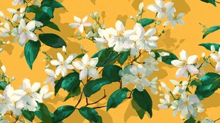黄色背景上的白色花卉图案