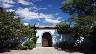 中式庭院大门与葱郁绿植