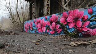 废弃墙边绚烂的粉色花卉涂鸦