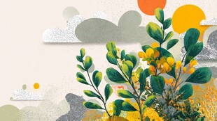 春日绿植与抽象风景插画