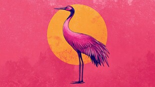 粉紫仙鹤立 夕阳映背景