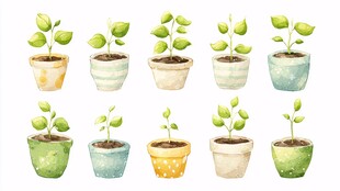 水彩风盆栽绿植清新插画