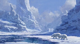 极地冰雪世界中的北极熊