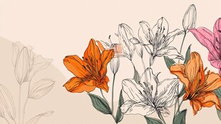 多彩手绘百合花插画