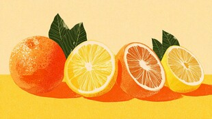 新鲜柑橘类水果插画展示