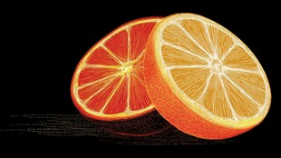 两片鲜橙切片展示