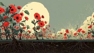 月夜下的红色罂粟花田