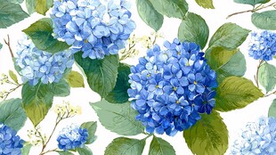 蓝色绣球花水彩花卉图案