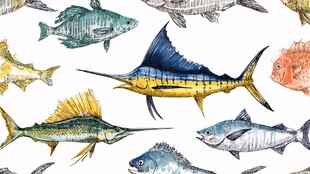 水彩绘多彩海洋鱼类图案