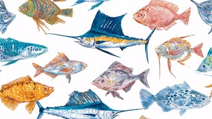 水彩风格多彩鱼类图案