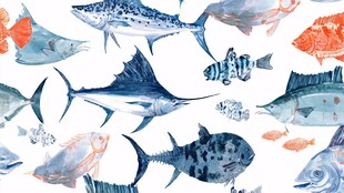 水彩海洋鱼类图案集合