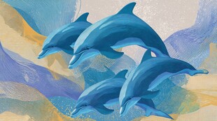 跃起的蓝色海豚艺术插画