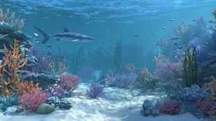 梦幻海底世界珊瑚与游鱼