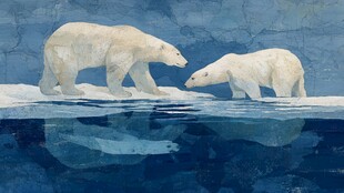 冰面双熊互动场景