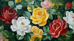 多彩玫瑰绽放绿叶间