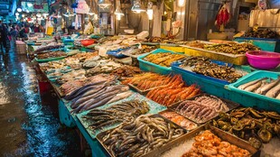 热闹海鲜市场丰富海产