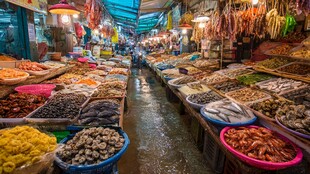 热闹海鲜市场丰富海产摊