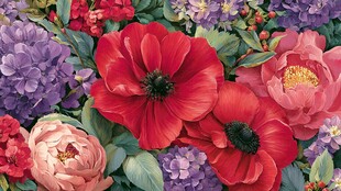 缤纷花卉绽放绚丽色彩