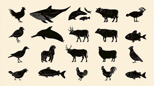 多样动物剪影集合