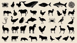 动物剪影集合