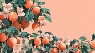 枝头杏子繁花相依