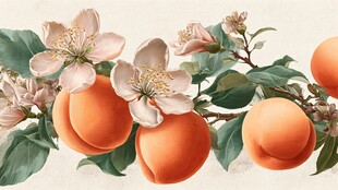 枝头杏果与繁花的美景