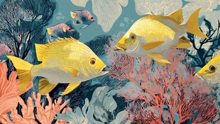 海底金鱼类与珊瑚美景