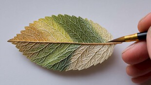 手绘叶脉 创意艺术叶片绘制