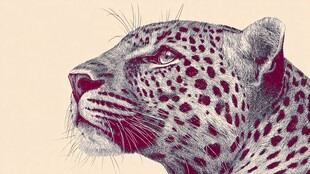 豹的精美侧面肖像画