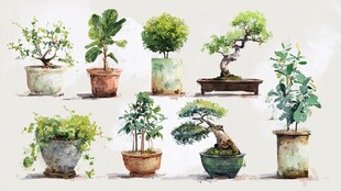 多彩盆栽水彩绘艺术展示